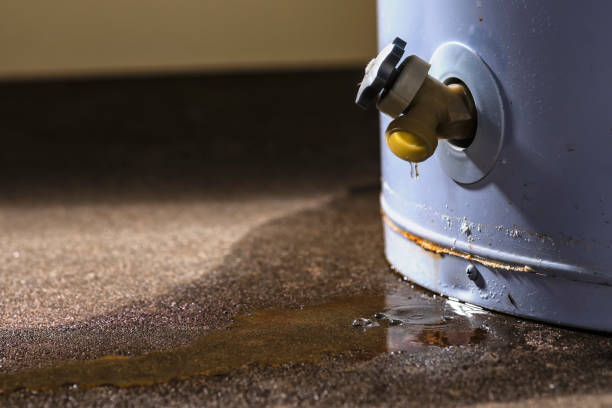 Best 24-hour water damage restoration  in Crittenden, KY