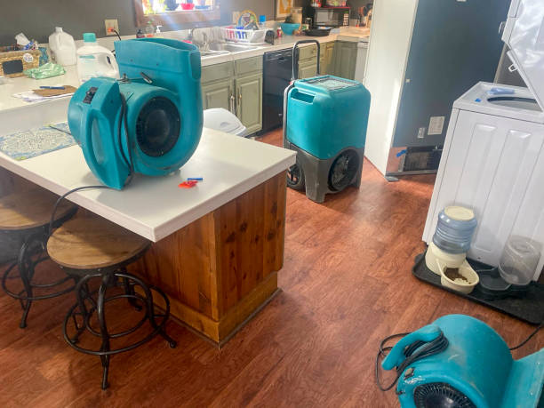 Best Professional water damage repair  in Crittenden, KY