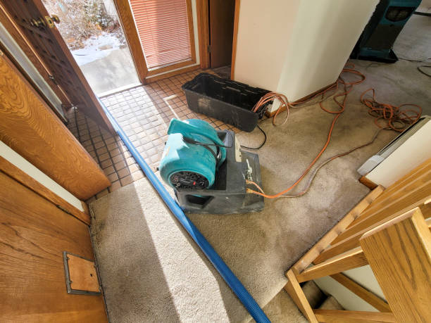 Best Flood damage cleanup  in Crittenden, KY